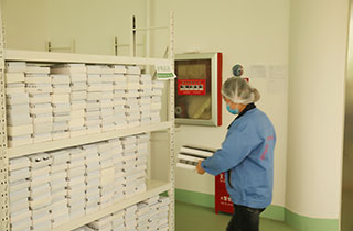 Homay has a creative team working on product development