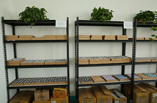 And also, we will come up with new lash styles regularly.